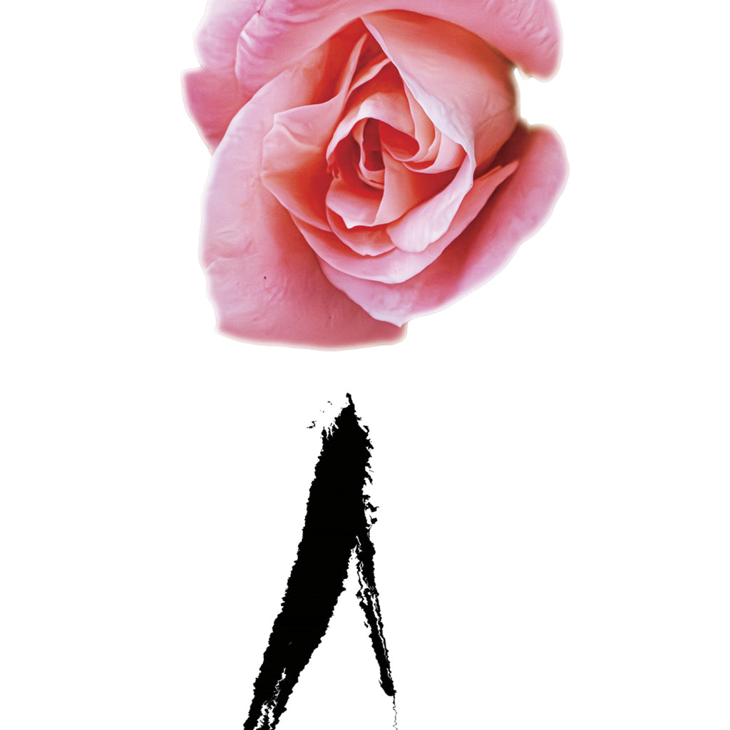 0db8c535-0645-4269-a8e5-14b29e7dec8f