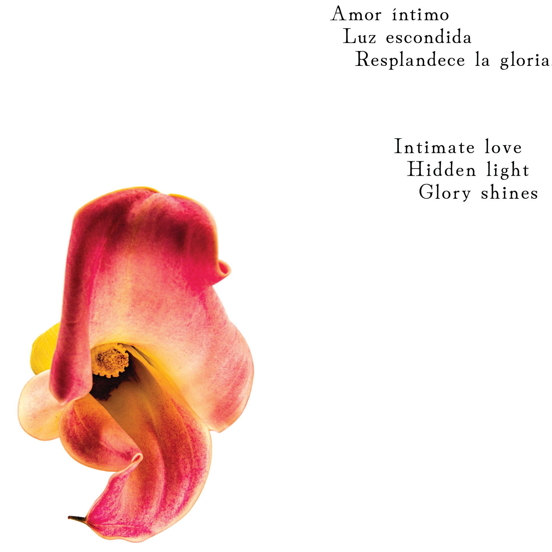 490bdd7d-585e-45f0-8bfd-7576a667e211