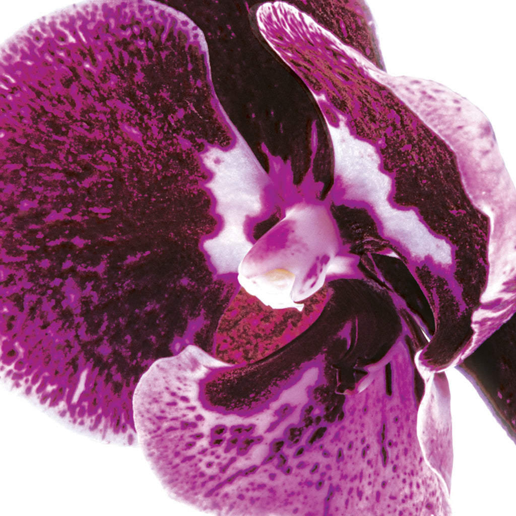 5157ba20-ac1b-4a0f-adb4-0cae29b58632