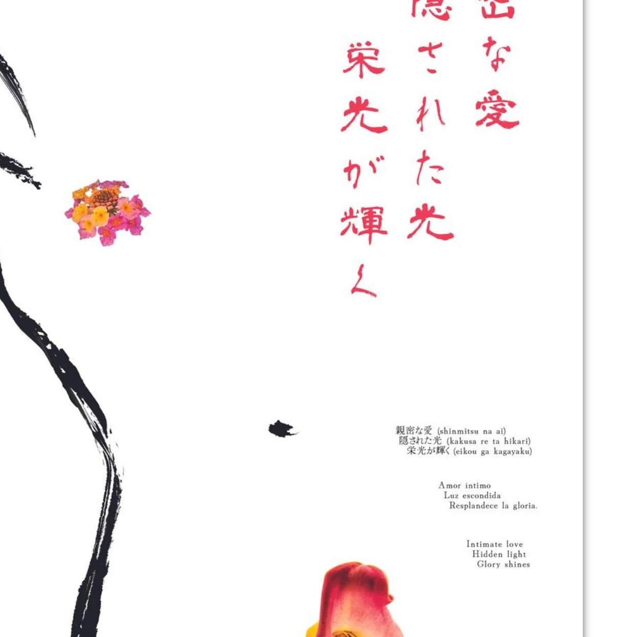 6ace0036-e077-4063-b506-7a92b68debc8