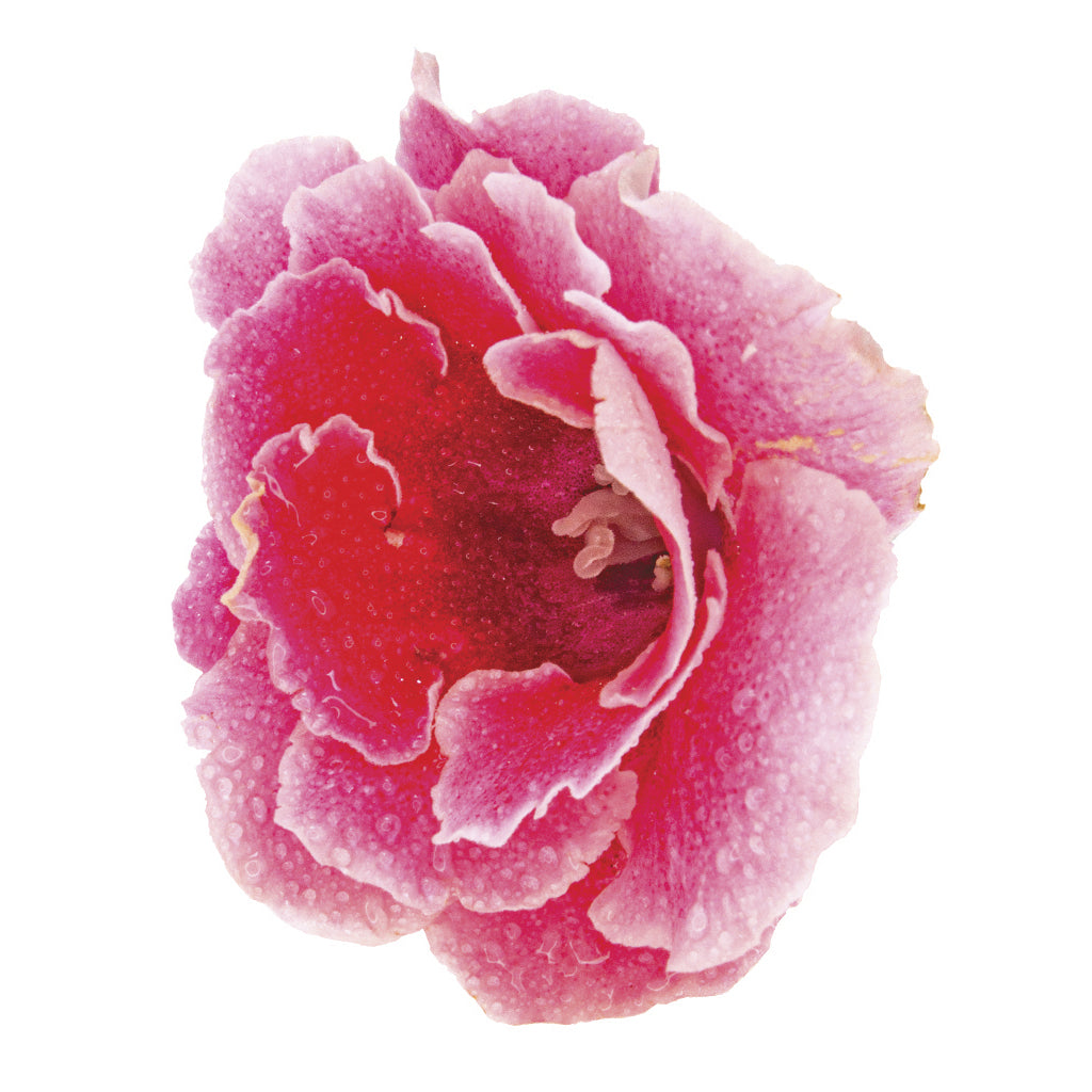 a6818246-d2c4-49b4-8e7f-d95d7e2ca61a