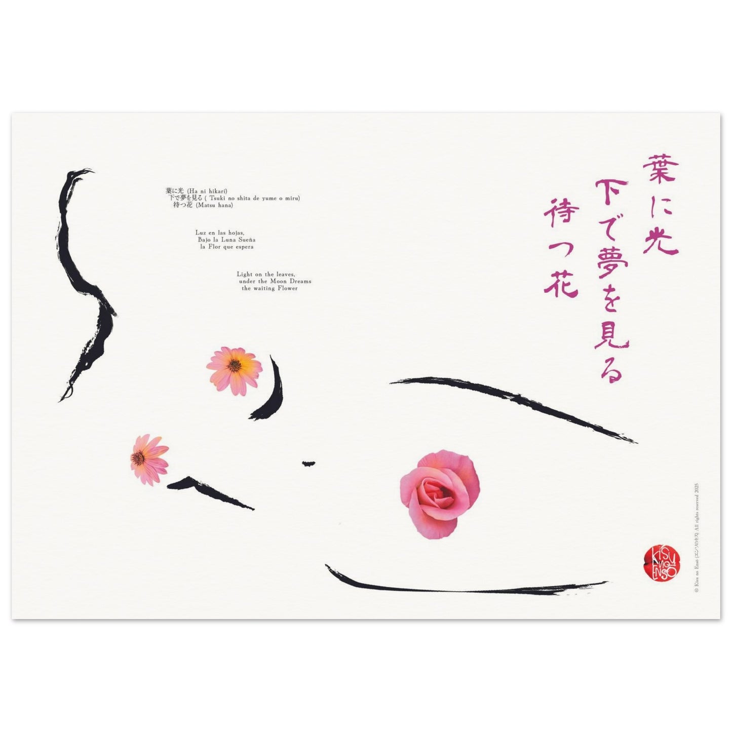 d54c7889-50b3-401a-90fd-e9b9704e7d69