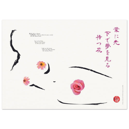 d54c7889-50b3-401a-90fd-e9b9704e7d69