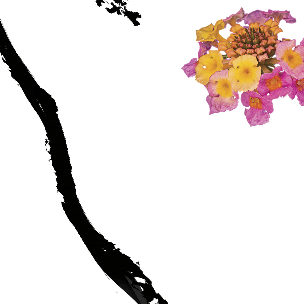 e31ba57e-e7f1-4680-a3b9-a67aa65d6925